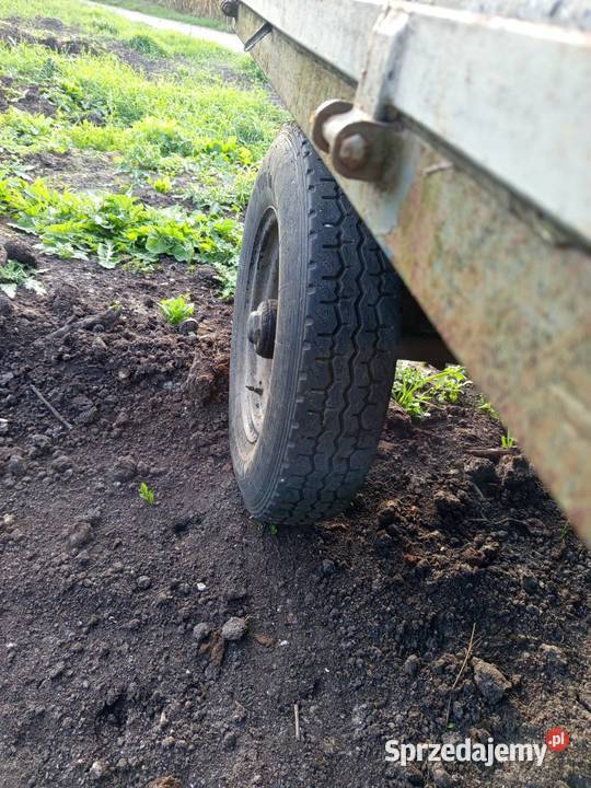 Przyczepa platforma sadownicza kujawsko-pomorskie Dobrzyń nad Wisłą