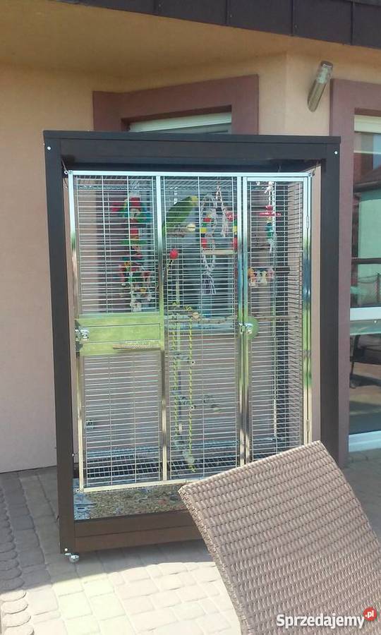 Sprzedam Amazonka Oratrix Konin