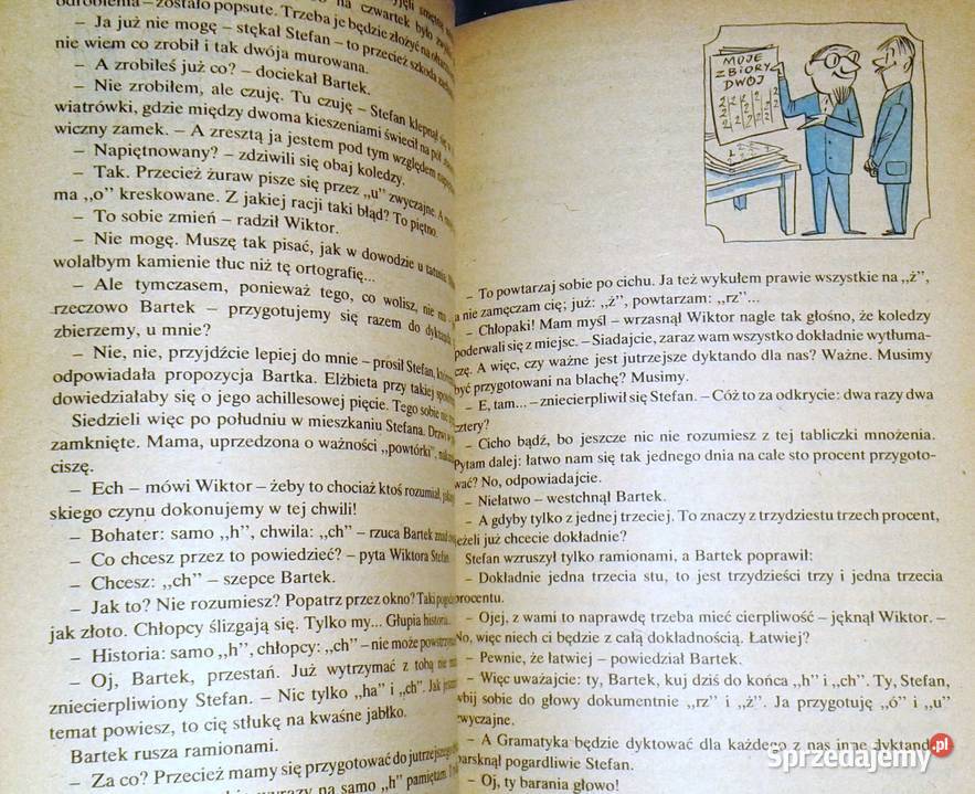 Tajemnica zielonej pieczęci Hanna Ożogowska Pozostałe Kultura i Rozrywka lubelskie Chełm