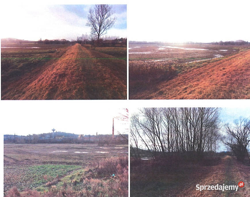 Syndyk sprzeda działki rolne Jelenia Góra