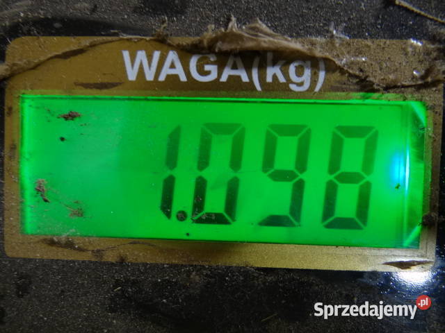 Śruby ESKA 1 MIX 6 do 10mm org DDR Żary