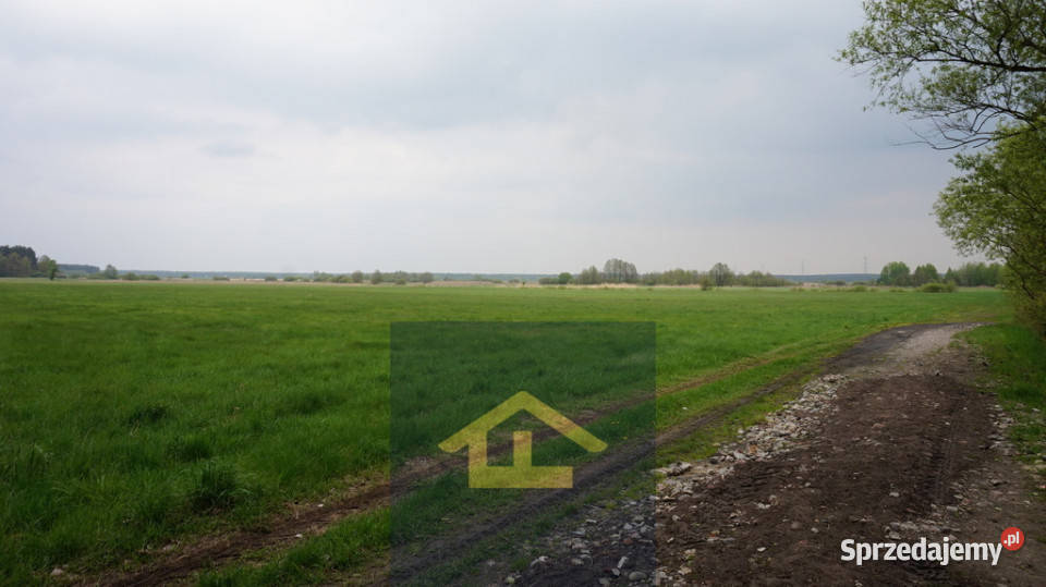 Nieruchomość w Całowaniu polna Całowanie sprzedam