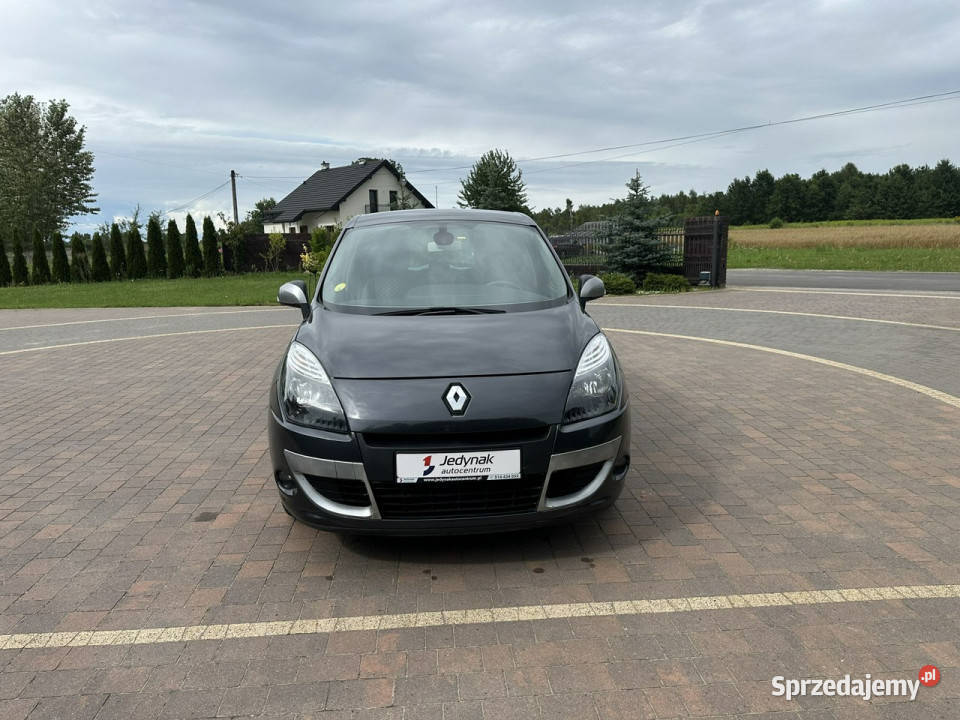 Renault Scenic III 20092016 Lipówki