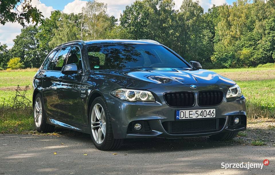 Bmw 520 f11 2015r Nisko przebieg 153000 Seria 5 Chojnów
