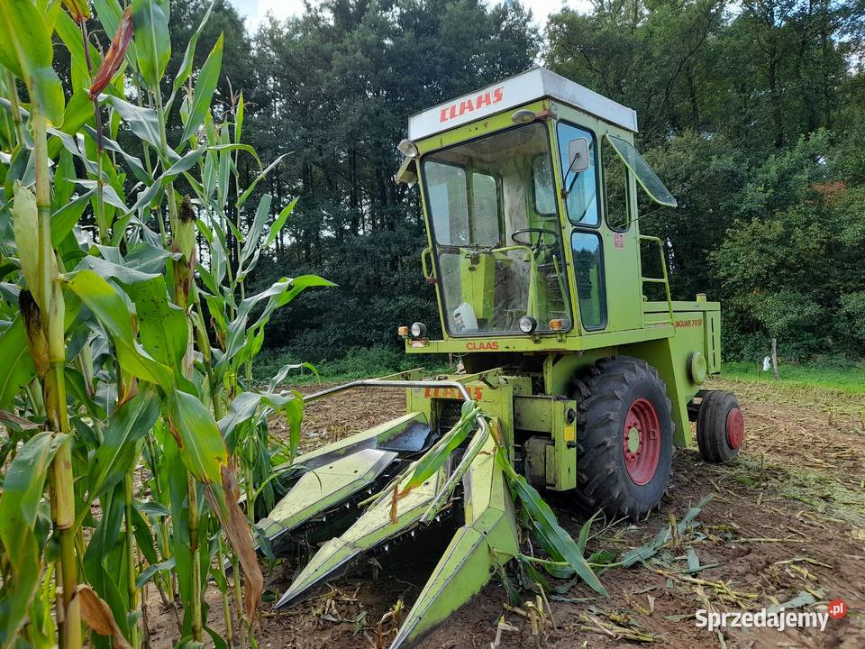Sieczkarnia Samojezdna Claas Jaguar 70SF 3 rzędy Rzeczyca