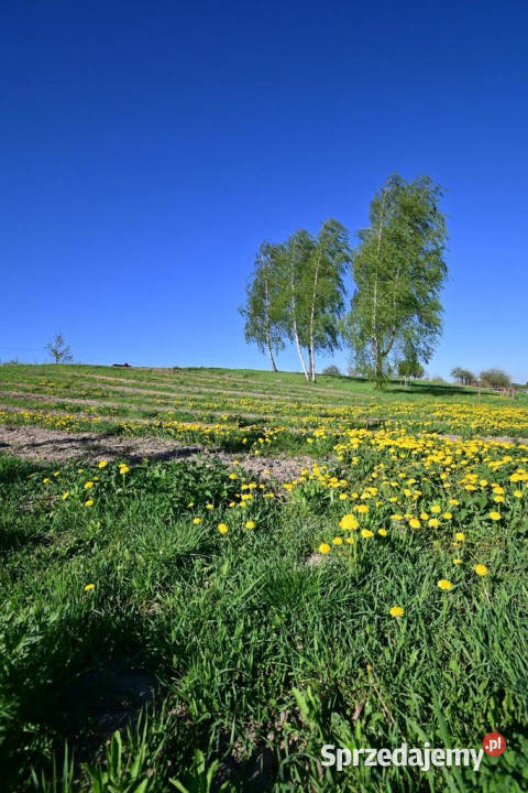 Karczmiska I 12 Kazimierza Dolnego Karczmiska Pierwsze