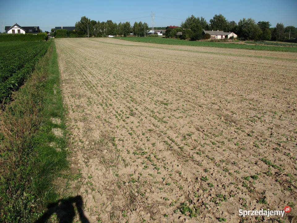 Działka rolno budowlana