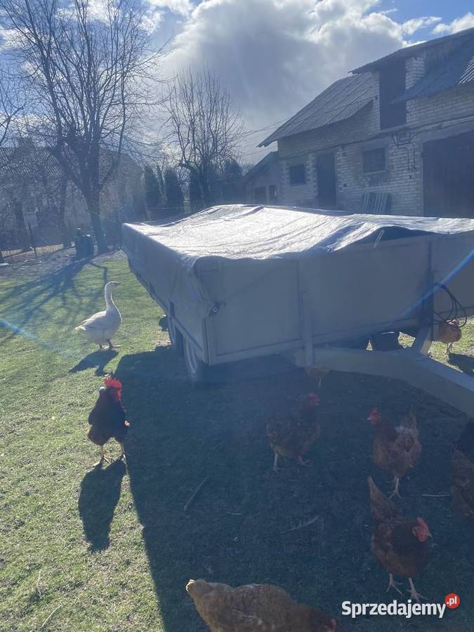 Okazzja Przyczepy rolnicze Przyczepy rolnicze lubelskie Lublin