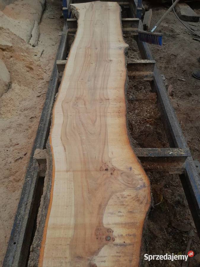 Deski z wiązu Ostrowiec Świętokrzyski