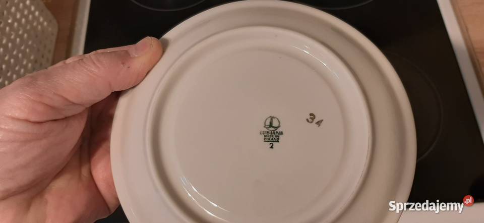 Bólionówki Kaszubskie