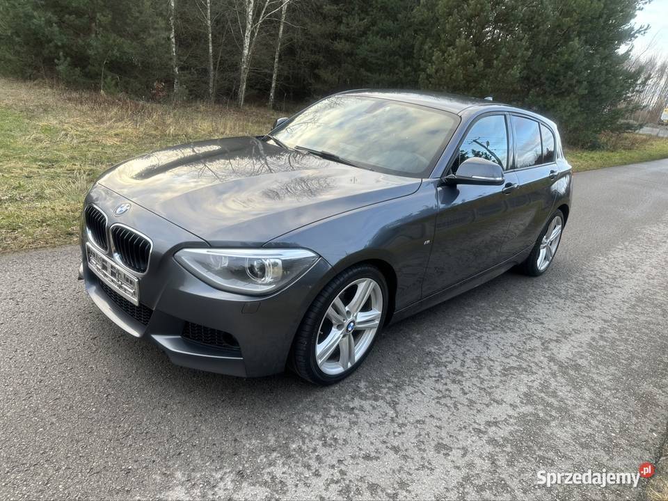 BMW F20 Mpakiet 16 benzyna turbo 1600cm3 świętokrzyskie