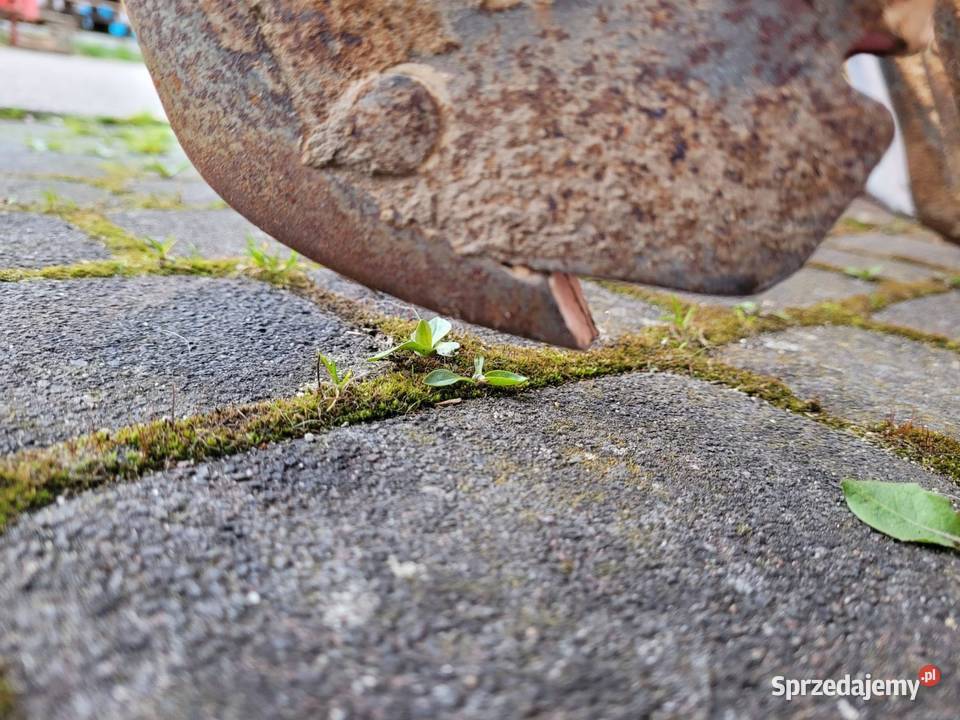 Siewnik Poznaniak 27M ROLMASZ Drobny Wysiew Budziska