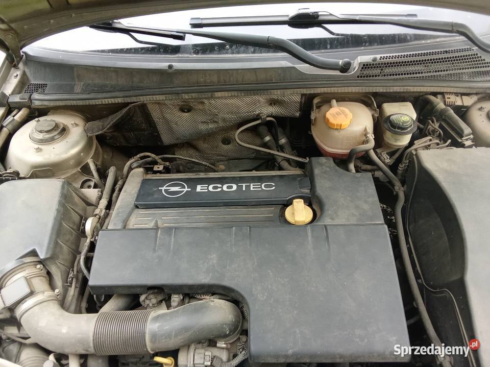 Opel signum GTS2216vDARIECT 114KWPDCDO Wrocław