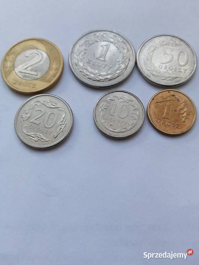 Monety z 2009 roku Skoczów