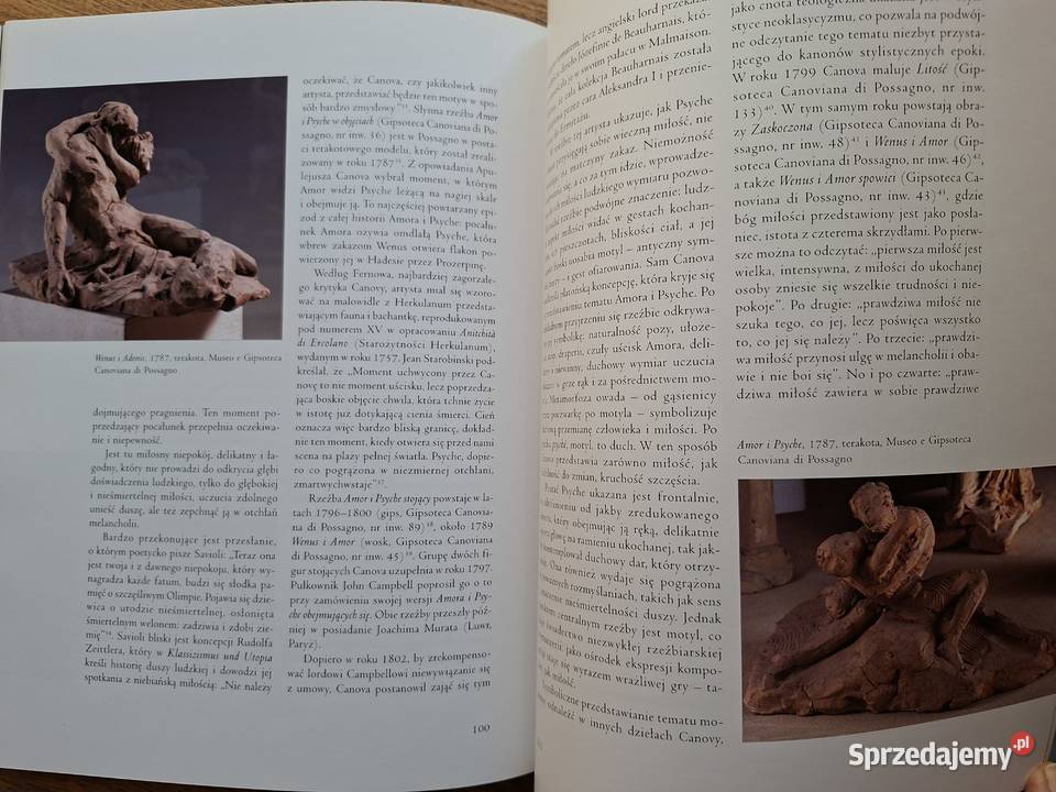 Antonio Canova Książki naukowe i popularnonaukowe małopolskie Kraków