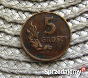 PRL 5 Groszy 1949r6 wielkopolskie
