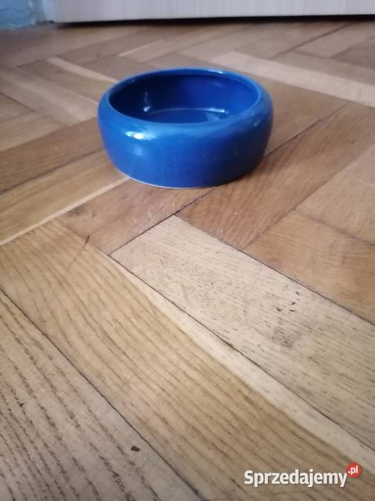 Pojemnik niebieski pomorskie Gdańsk