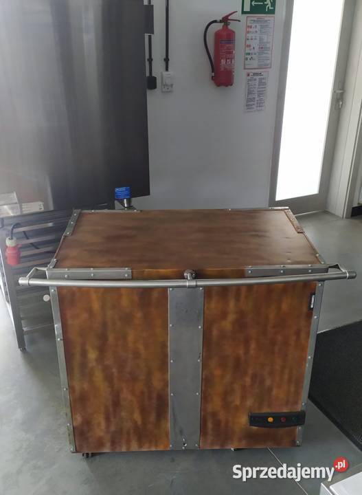 Zamrażalka skrzyniowa Tefcold FR305I