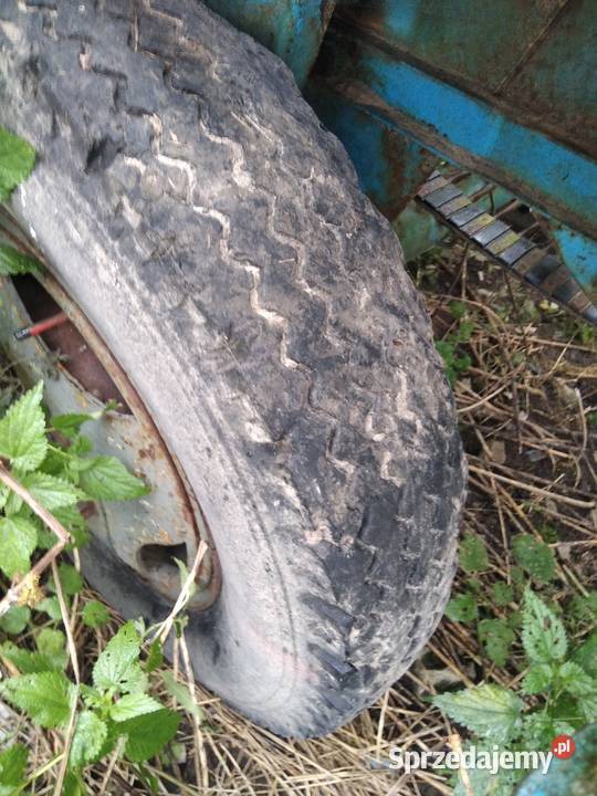 Wyorywacz sadzonek truskawek Anna kopaczka