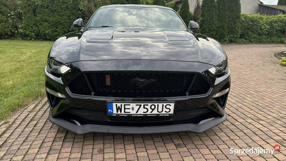 Ford Mustang Sportowy / Coupe