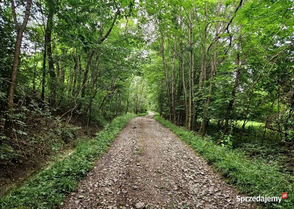 Działka granicy z Czechami RATY Cieszyn