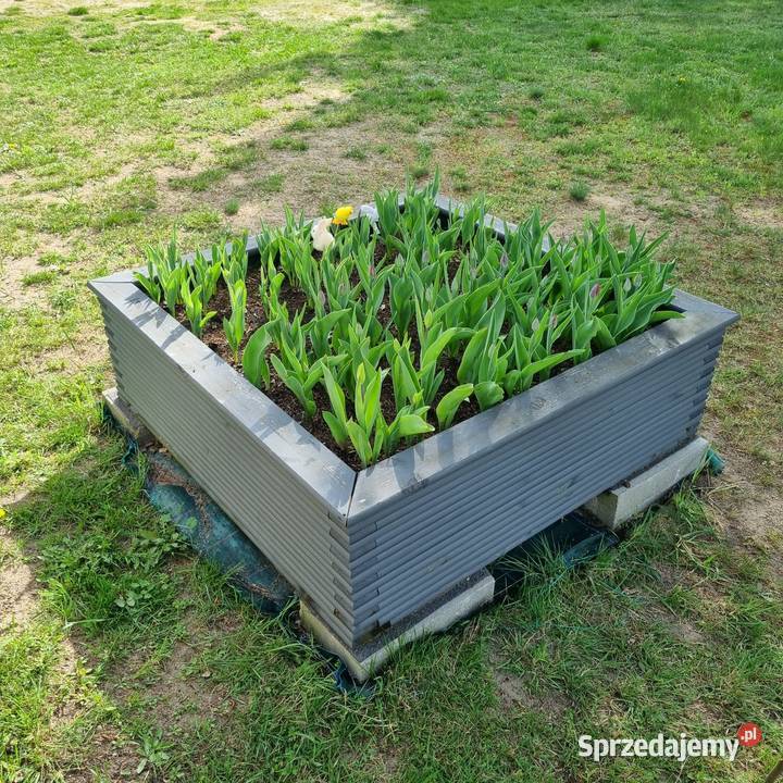 Piaskownica SOLIDNA 3D duża drewniana masywna sprzedam