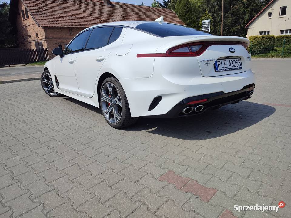 Kia Stinger 33 70 przebiegu Stinger Włoszakowice