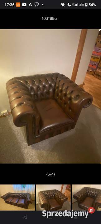 Chesterfield angielski Biała Podlaska