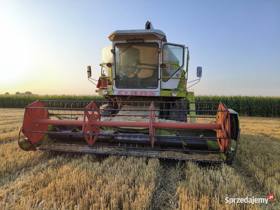 Claas Dominator 96 Galowice