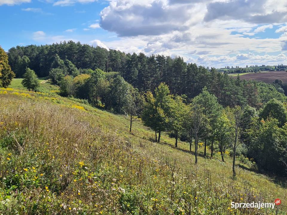 Działka z linią brzegową 3000m2 Zalec