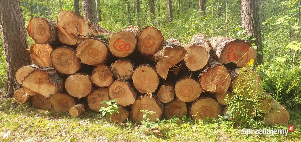 Drewno opałowekominkowe Gałęziówka i grube Bydgoszcz sprzedam