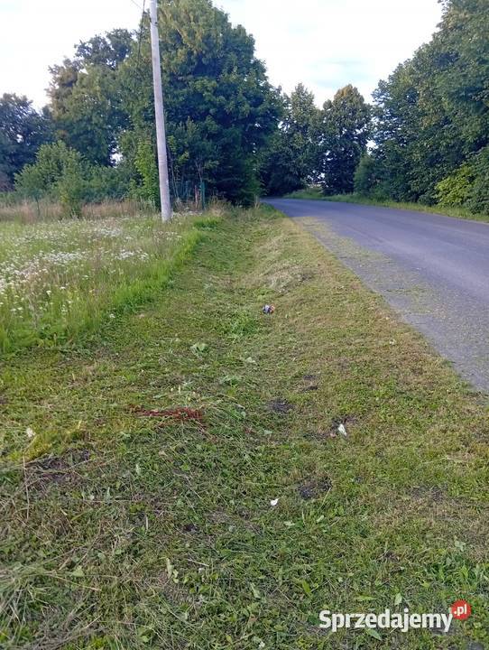 Koszenie trawy wycinka drzew sprzatanie pomorskie