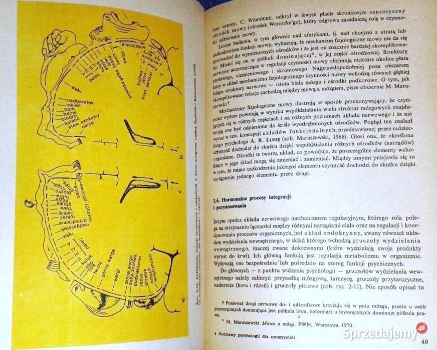 Podstawy psychologii nauczycieli J Strelau lubelskie Chełm