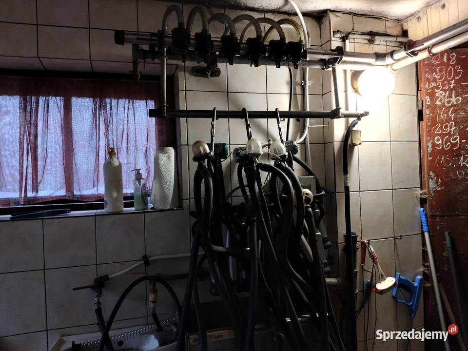 Dojarka przewodowa Westfalia Zbiornik Japy 1200l Regów Stary sprzedam