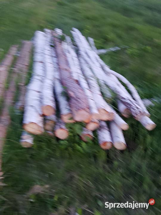 Kołkistęple 3m Chełm