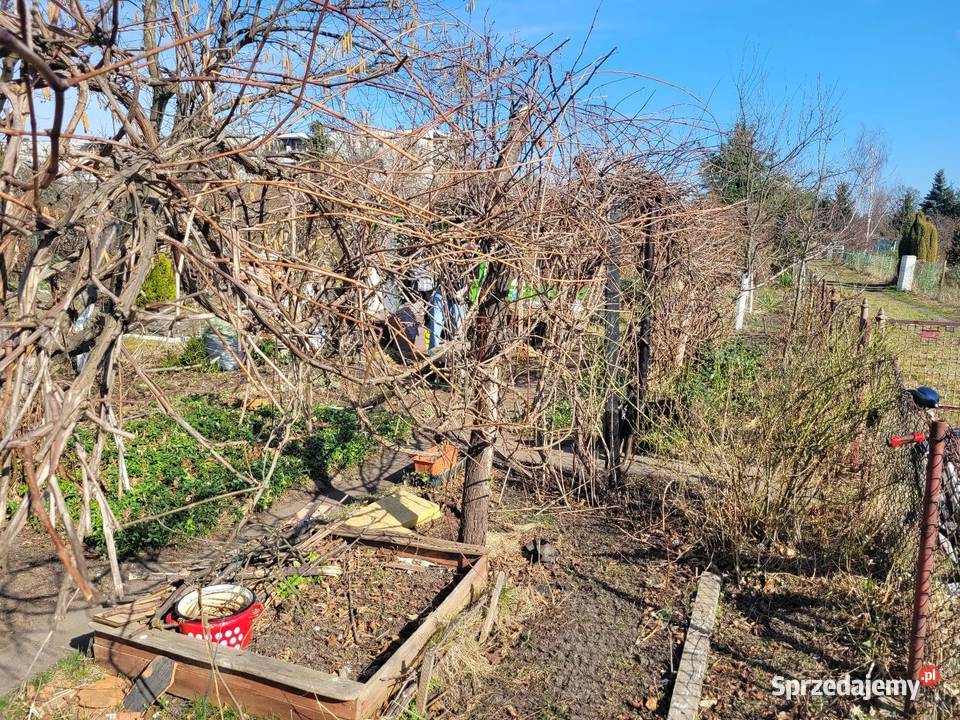 Działka ROD LEPSZE JUTRO Ołbin Wrocław 113m