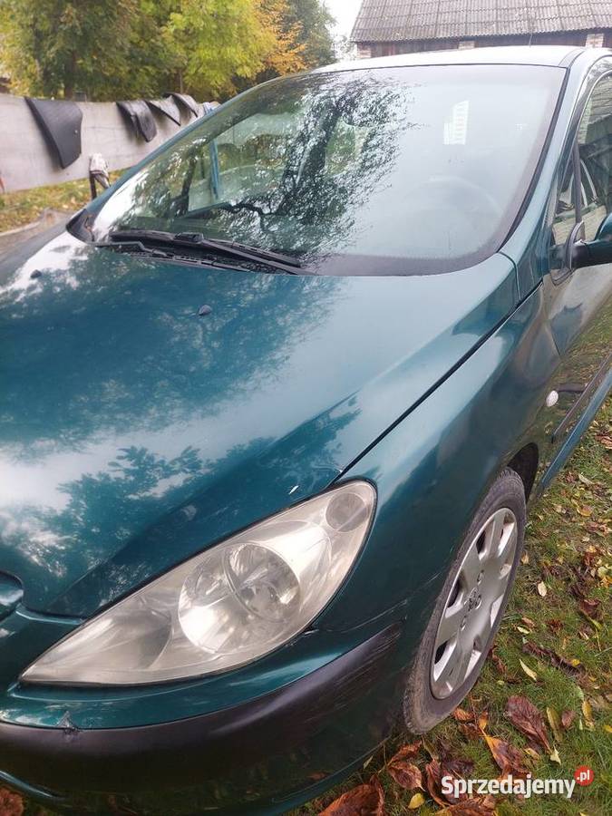 Peugeot 307 307 lubelskie Krasnystaw
