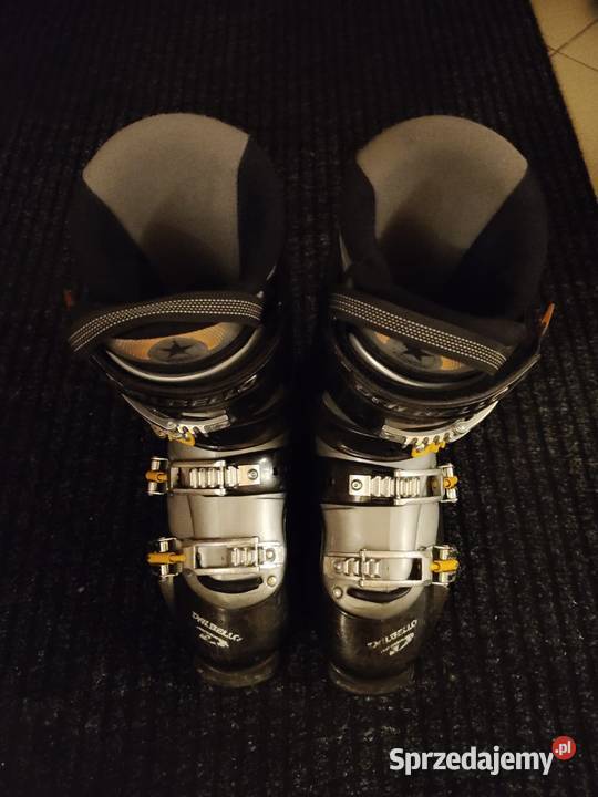 Buty narciarskie Dalbello 43 Wałbrzych