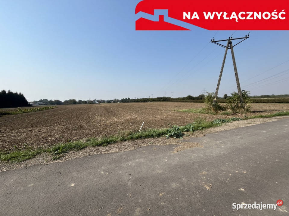 Działka rolnobudowlana 031 ha w Gołębiu kPuław Gołąb sprzedam