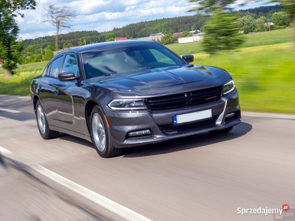 Dodge Charger SXT 2016 36 V6 305 AlpineNavi 2023 nieuszkodzony Charger Kiełczów