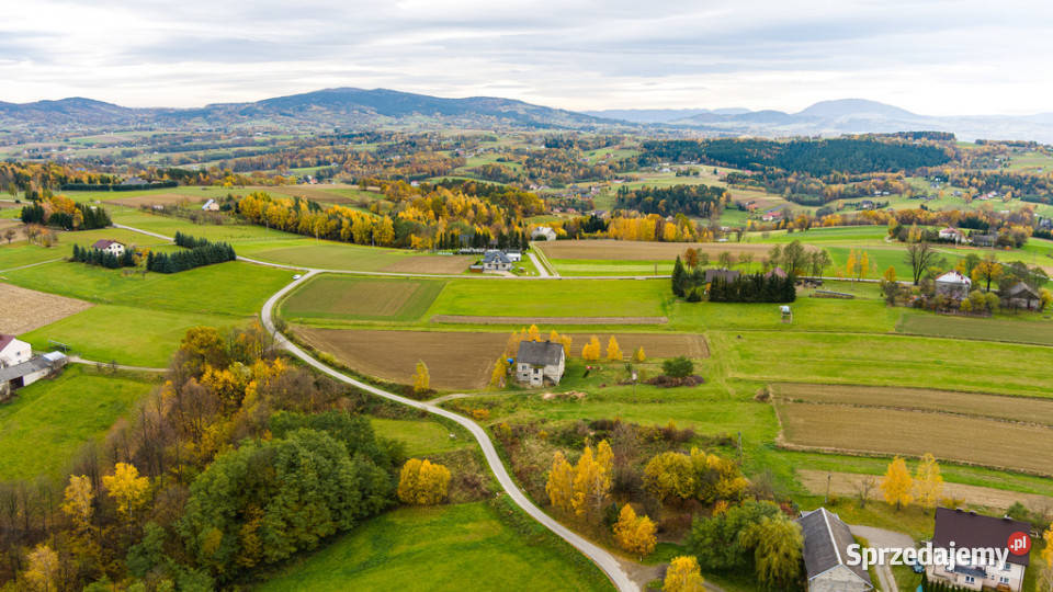 Bobowa działka budowlana Niska Sprzedaż małopolskie
