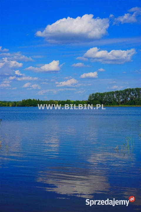 Ogłoszenie działka Stankuny 5178m2 Sprzedaż