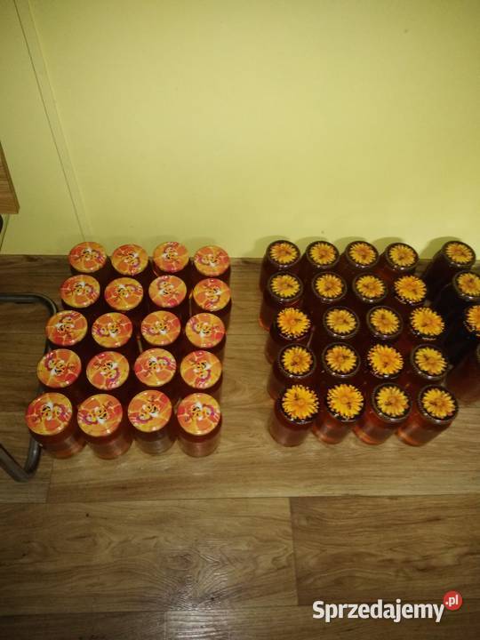 Pszczoły ule odkłady pszczele 2024 Bursztynowa Mniszków