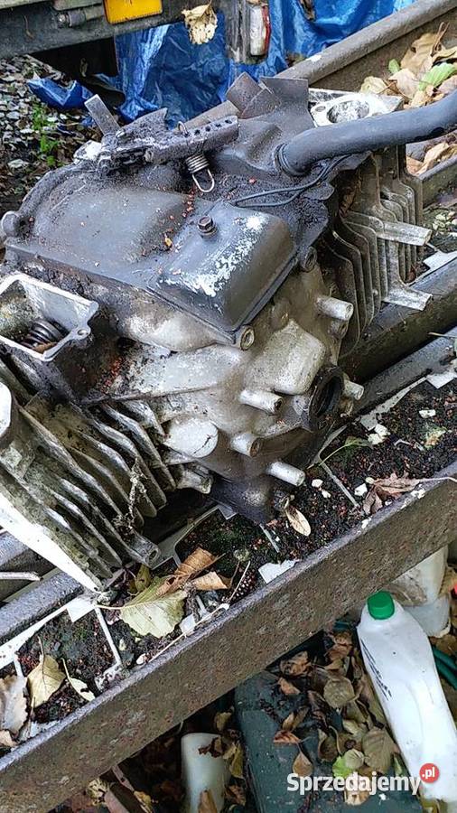 Blok silnika BriggsStratton Bokser2 cylindry Spalinowe Gorzów Wielkopolski