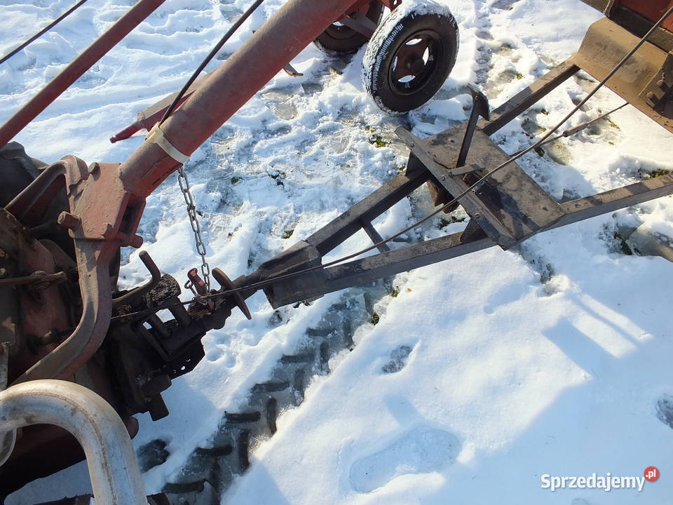 Dzik 221 Sprawny Osprzęt Kurier ŚLĄSK Golasowice