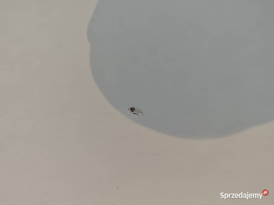 Komoda Karczew sprzedam