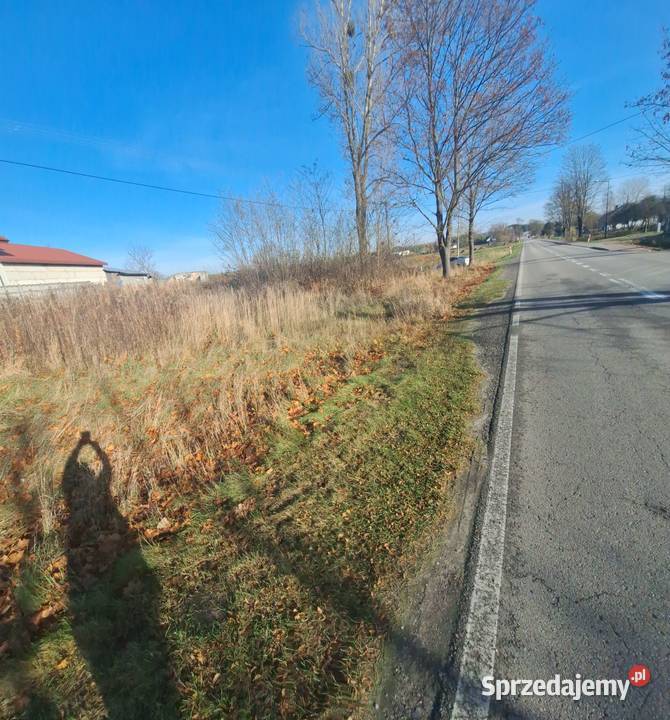 Działkę sprzedam Budzyń Przytyki sprzedam