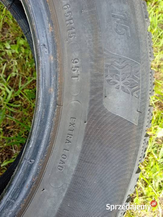 Opony zimowe Michelin Alpin 6 1956515r 95T 2023 Albigowa