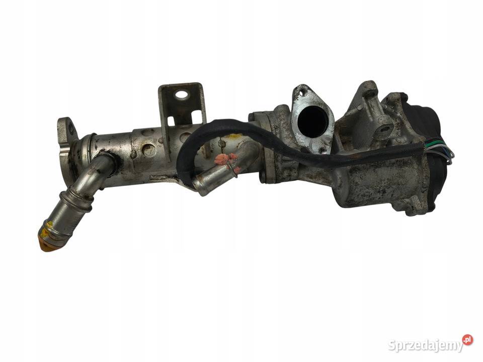 CHŁODNICA SPALIN ZAWÓR EGR Range Rover 3 36 TDV8 osobowe Chełm