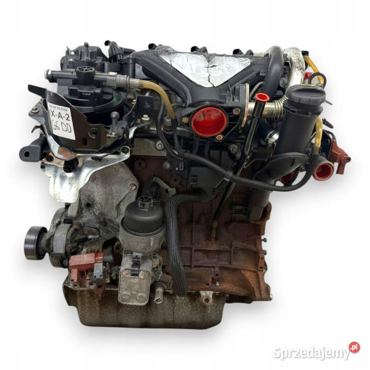 SILNIK G6DD Ford C C Focus MK2 20 TDCI 136 Chełm